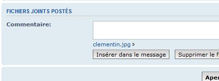 bouton insérer