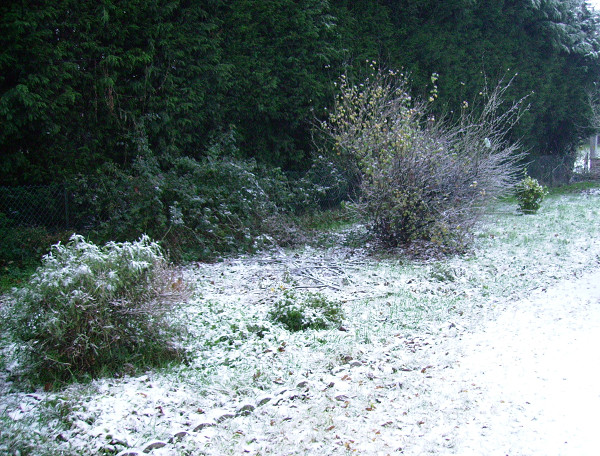 001-border.jpg