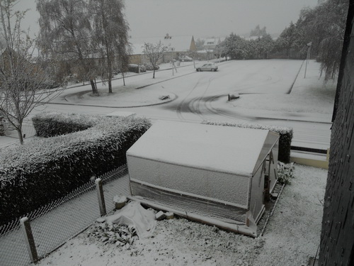 DSCN1050.JPG