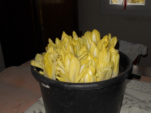 DSCN1053.JPG