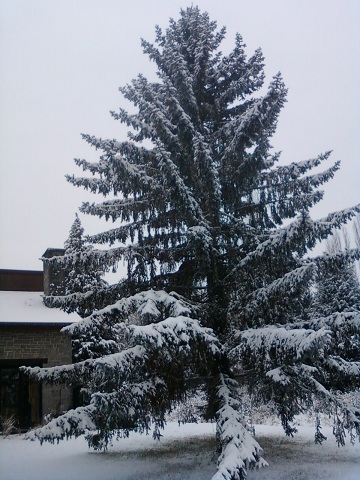 01122010.jpg
