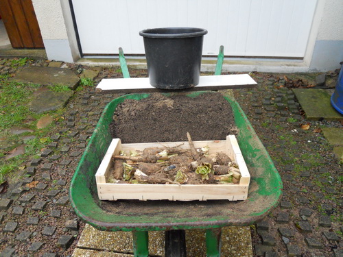 DSCN1063.JPG