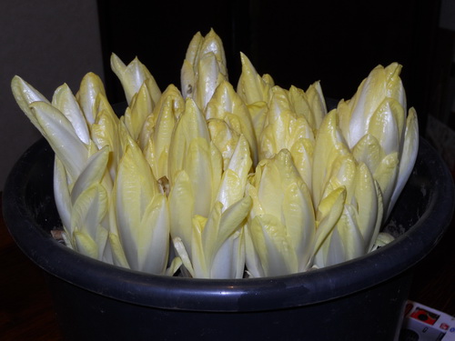 DSCN1064.JPG