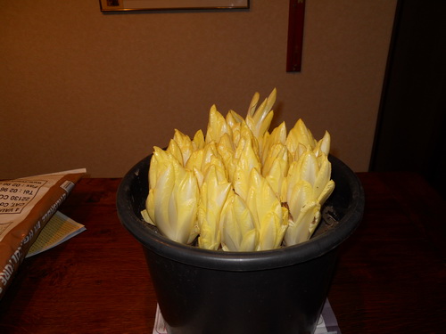 DSCN1065.JPG