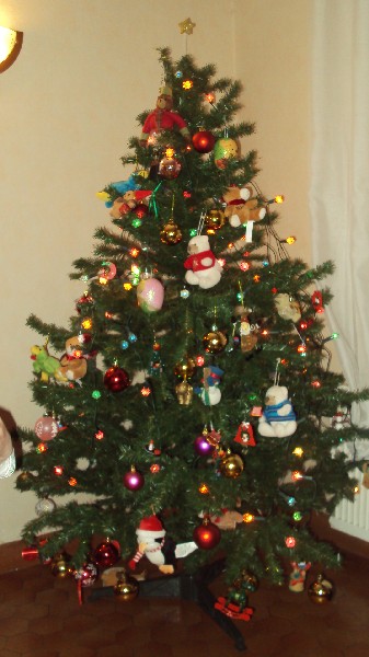 Le sapin