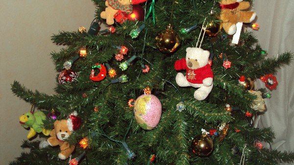un zoom sur le sapin