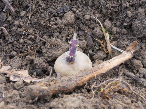 DSCN1068.JPG