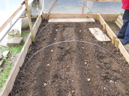 DSCN1067.JPG