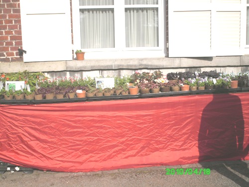 18 avril (2).JPG
