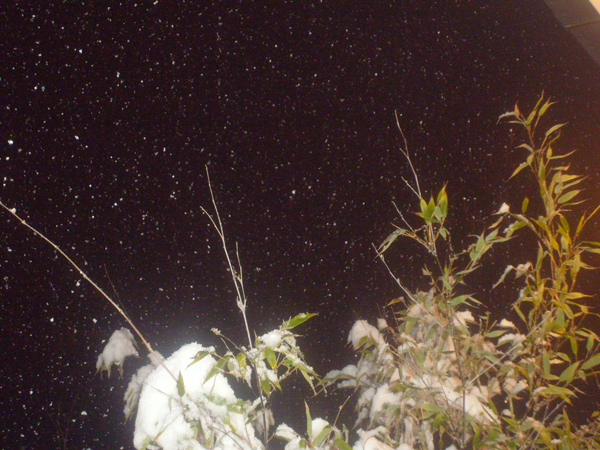 S7005694.JPG