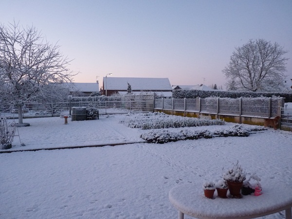 mon jardin
