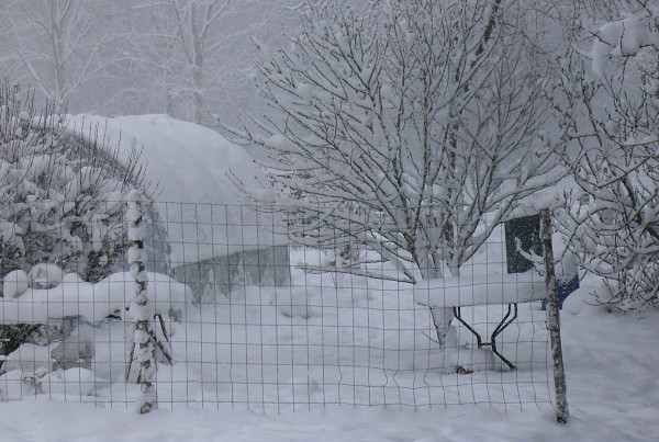 neige4.jpg