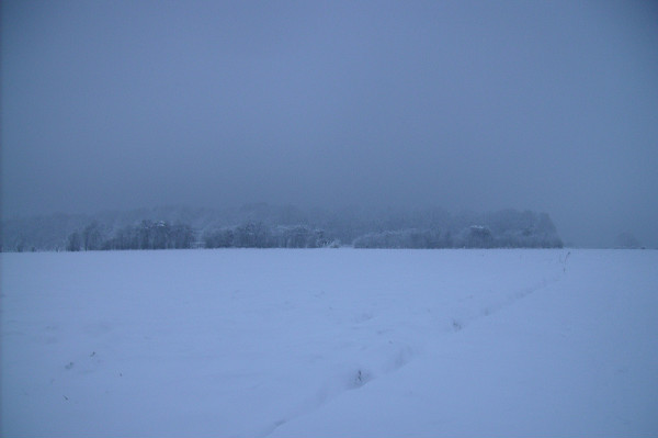 019-border.jpg