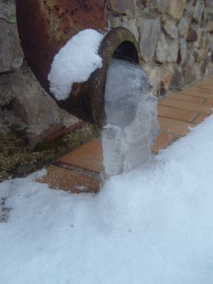 2202631292830050-YZVE.gif