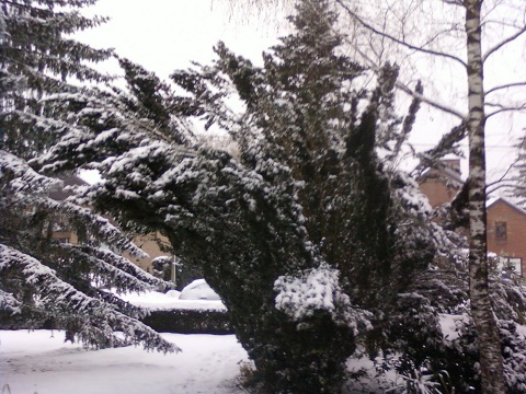 neige 010.jpg