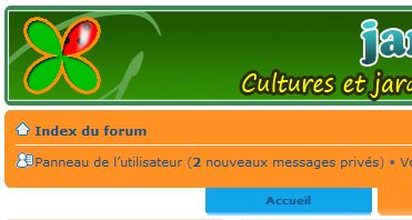 nouveaux_messages_MP.JPG