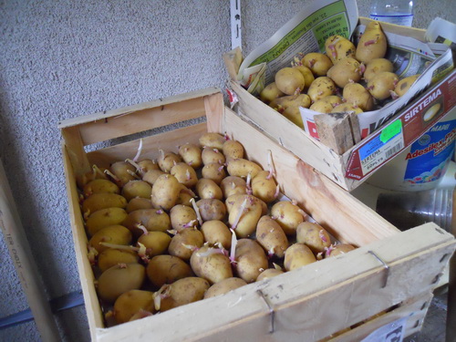 DSCN1237.JPG