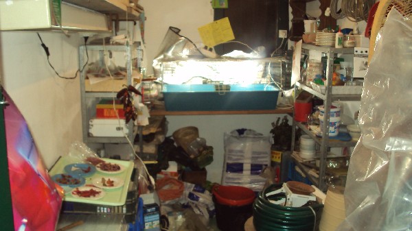 DSC03014.JPG
