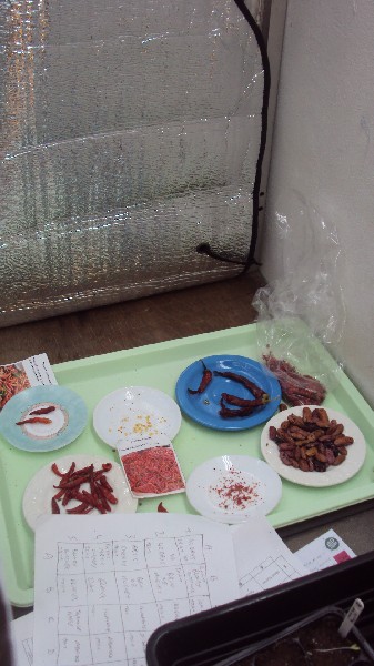 DSC03398.JPG
