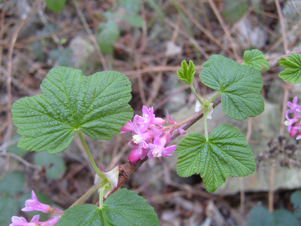 friche_05.jpg