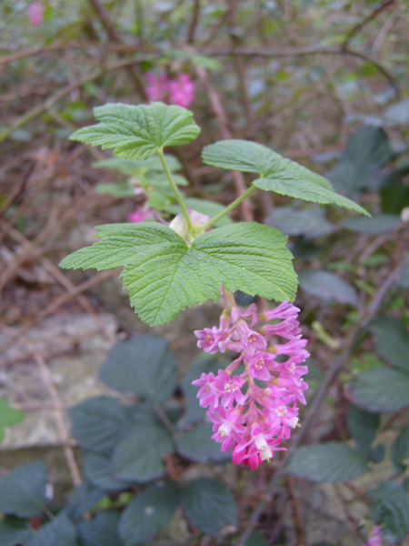 friche_06.jpg