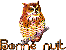 HIBOU_~12.GIF