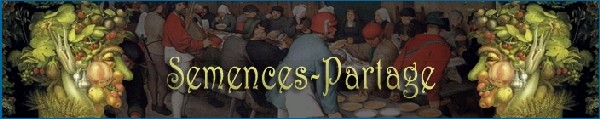 banniere SP.jpg