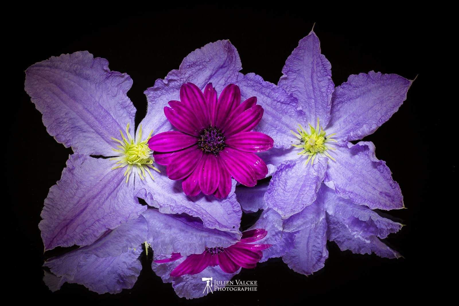 site rencontre regional